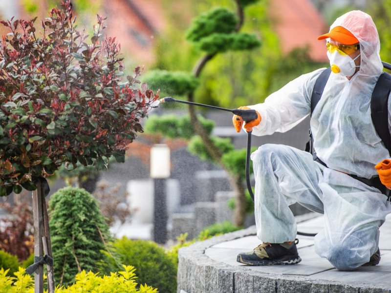 Söke Haşere İlaçlama