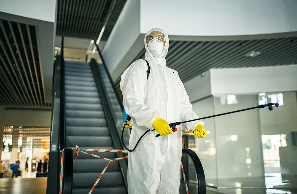 Söke Haşere İlaçlama